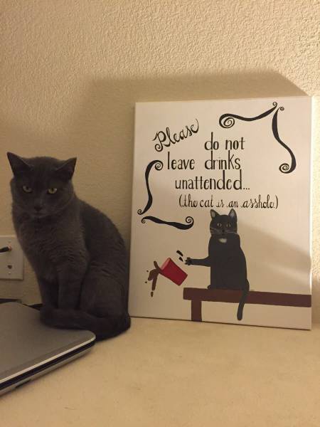 Daily Picdump Daily Picdump