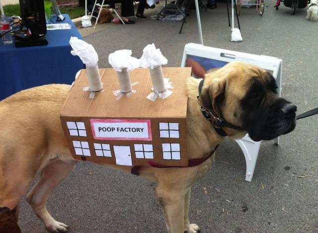 Daily Picdump Daily Picdump