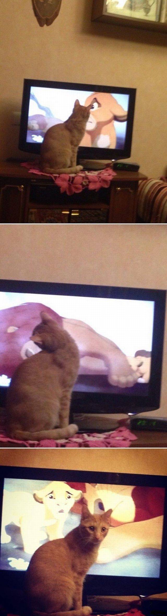 Daily Picdump Daily Picdump