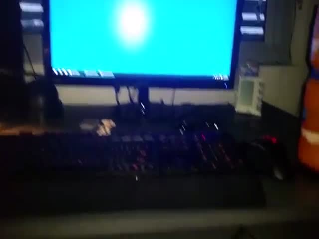 This Computer Is Aroused with Any Little Touch