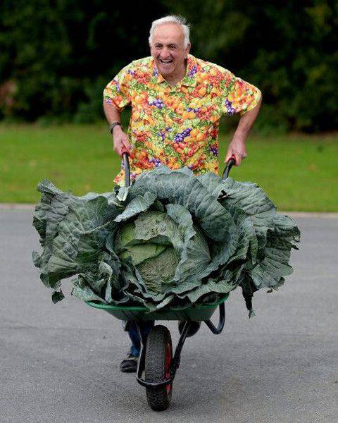 Daily Picdump Daily Picdump