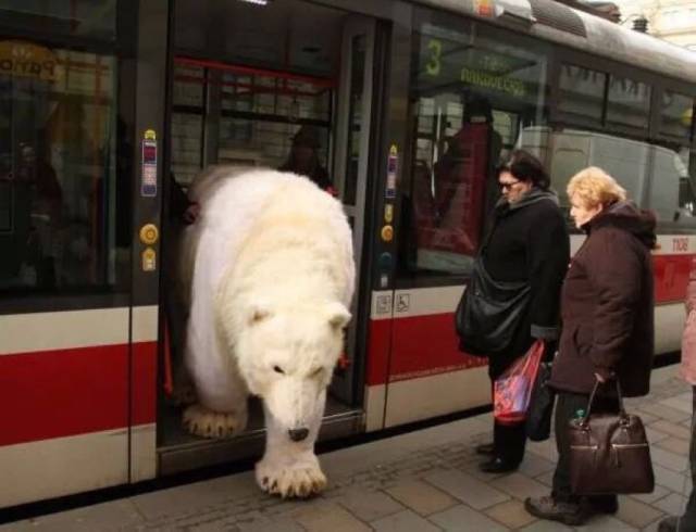 Daily Picdump Daily Picdump
