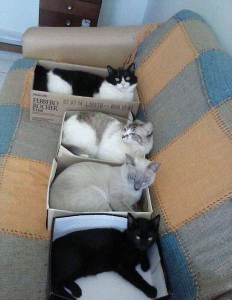 Daily Picdump Daily Picdump