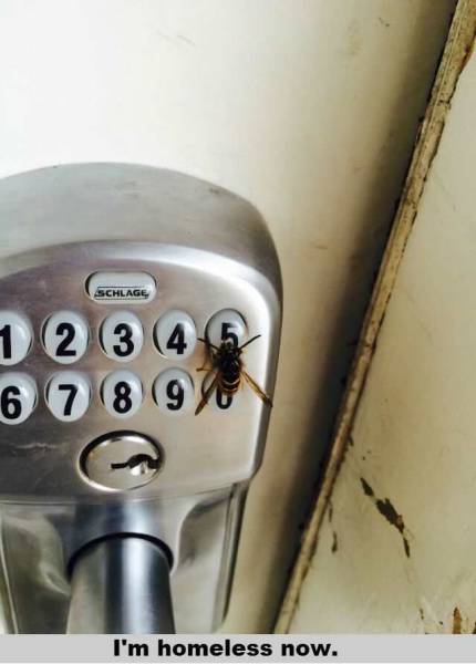 Daily Picdump Daily Picdump