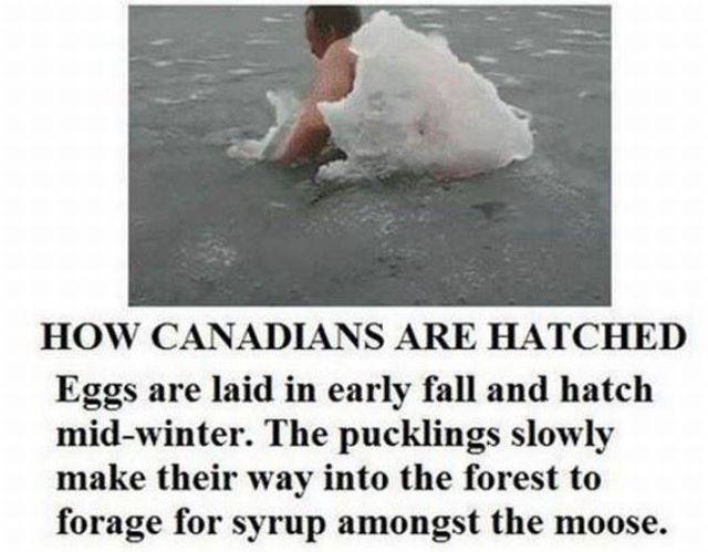 Daily Picdump Daily Picdump
