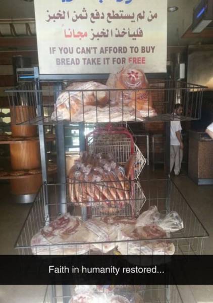 Daily Picdump Daily Picdump