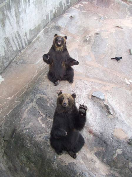Daily Picdump Daily Picdump