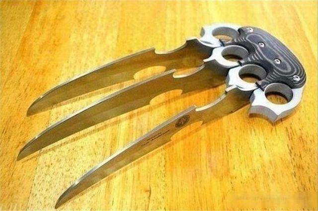 Daily Picdump Daily Picdump