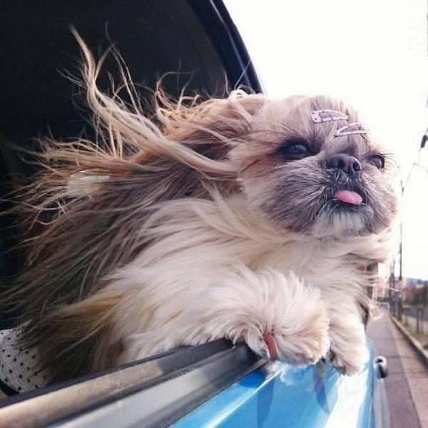 Daily Picdump Daily Picdump