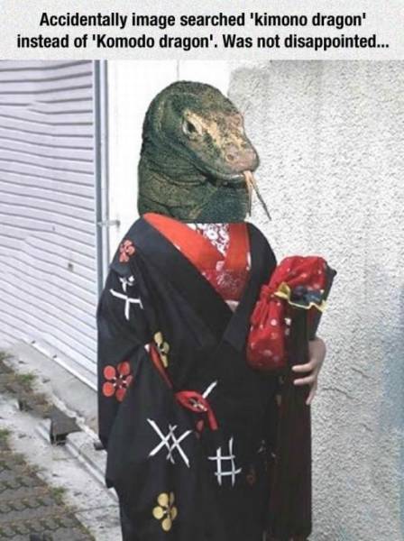 Daily Picdump Daily Picdump