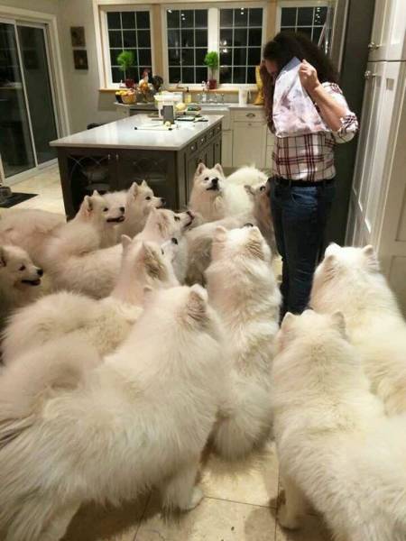 Daily Picdump Daily Picdump