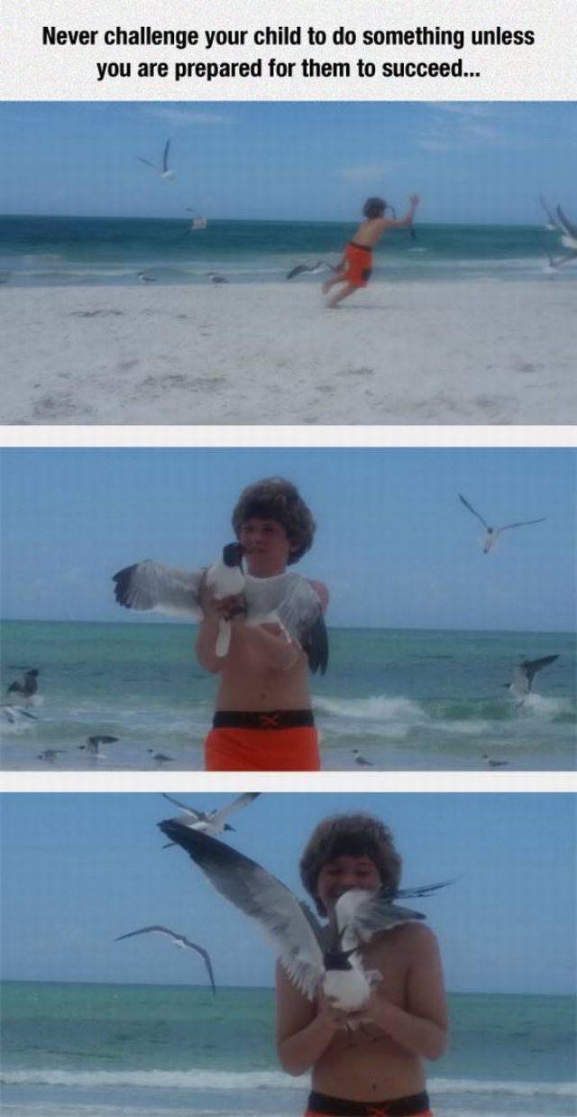 Daily Picdump Daily Picdump