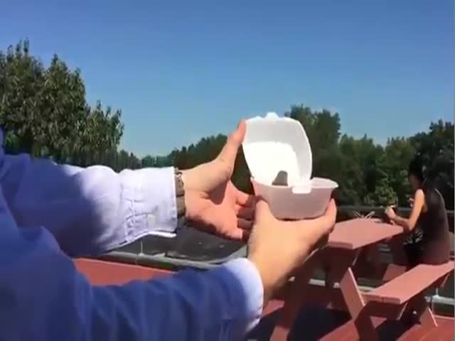 Guy Lets a Wild Bird Go and Then Something Unexpected Happens