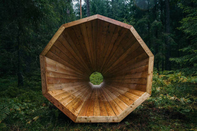 Estonian Students Have Built Something Very Unique in The Forest of Estonia