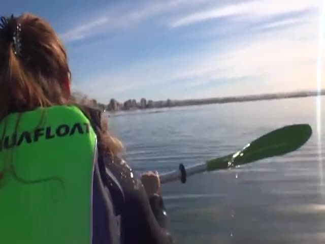Kayakers Get the Fright of Their Lives by a Sneaky Whale
