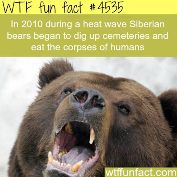 Weird Facts That Are Almost too Crazy to be True