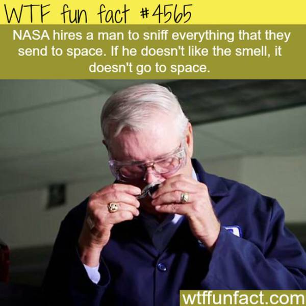 Weird Facts That Are Almost too Crazy to be True