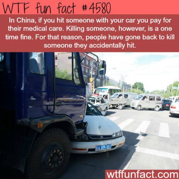 funny random fun facts