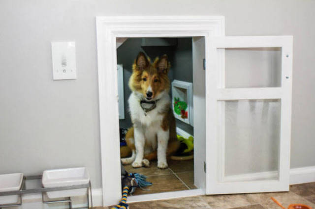 Creative Pet Owner Builds His Dog a Special Room Under the Stairs