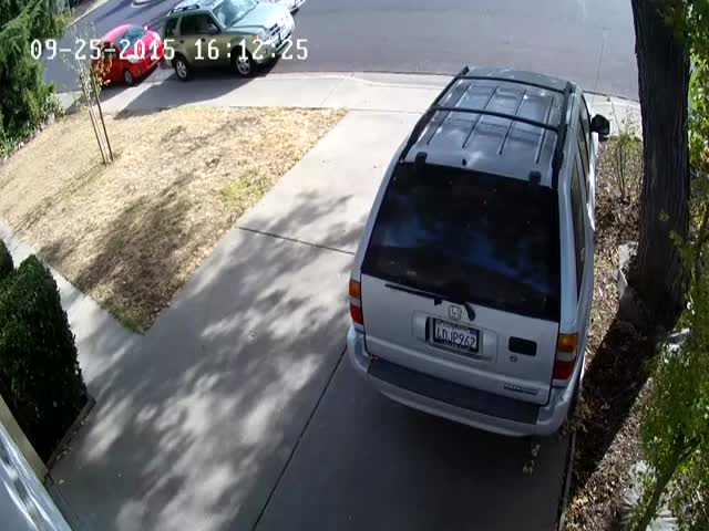 Guy Steals a Package But His Victim Has the Last Laugh