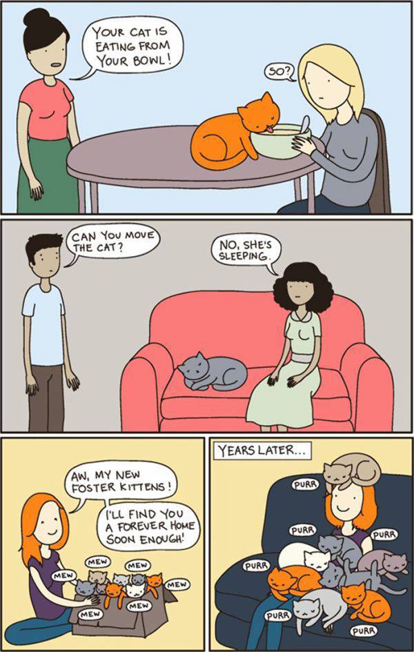 Amusing Illustrations That Cat Owners Will Definitely Agree with
