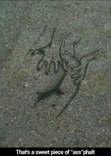 Daily Picdump Daily Picdump