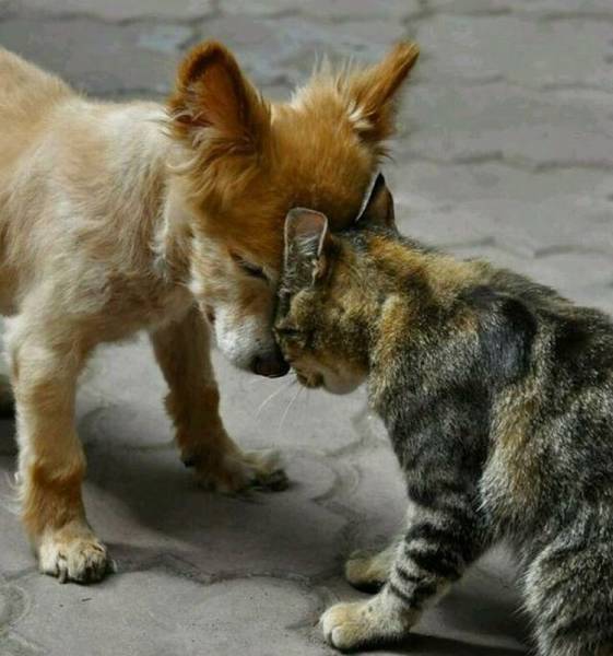 Daily Picdump Daily Picdump