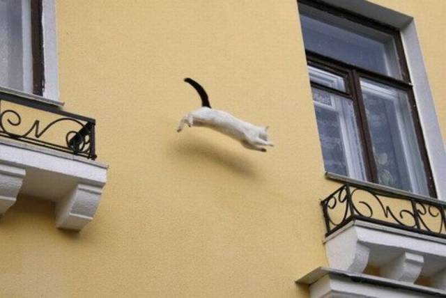 Daily Picdump Daily Picdump