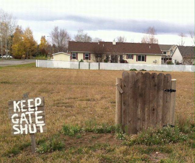 Daily Picdump Daily Picdump