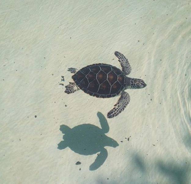 Daily Picdump Daily Picdump