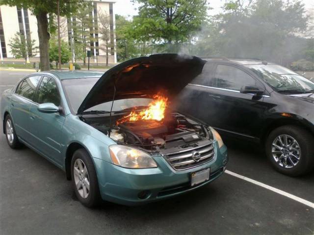 Daily Picdump Daily Picdump