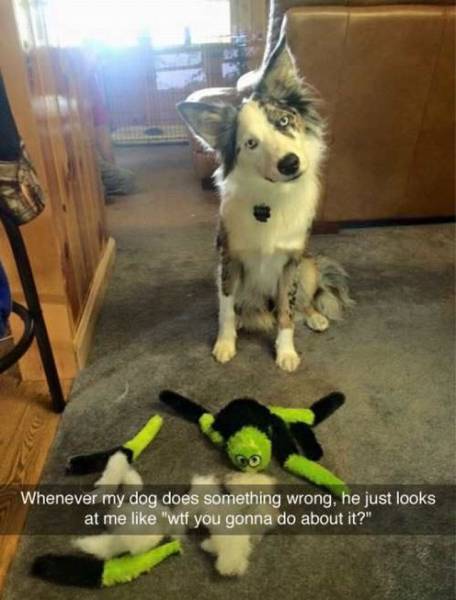 Daily Picdump Daily Picdump