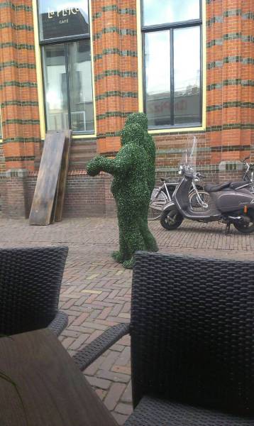 Daily Picdump Daily Picdump