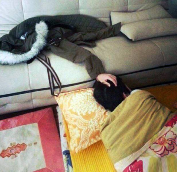 Daily Picdump Daily Picdump