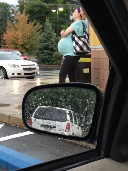 Daily Picdump Daily Picdump