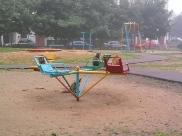 Daily Picdump Daily Picdump