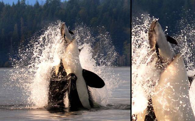Daily Picdump Daily Picdump