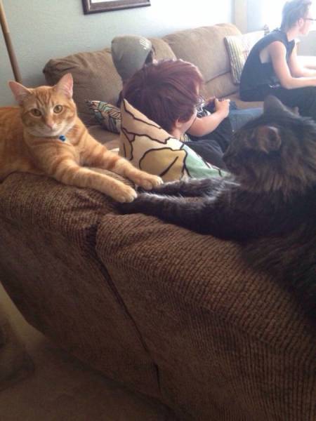 Daily Picdump Daily Picdump