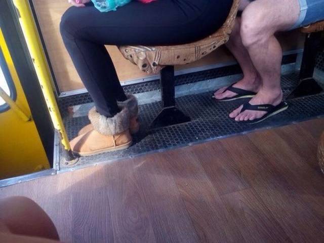 Daily Picdump Daily Picdump