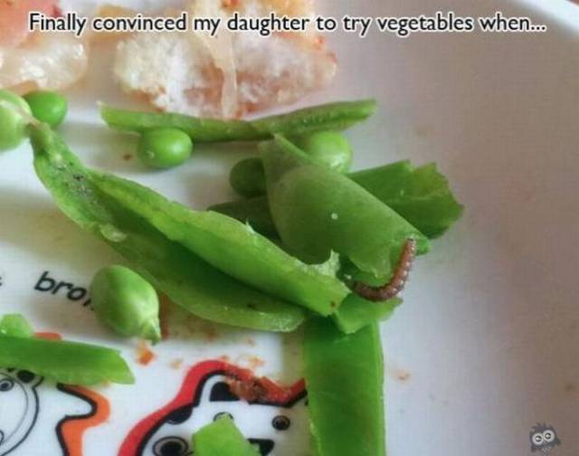 Daily Picdump Daily Picdump
