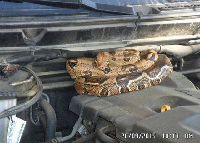Daily Picdump Daily Picdump