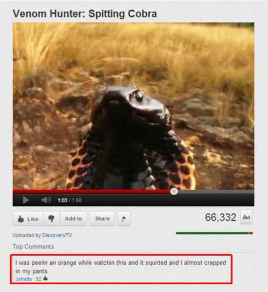 Daily Picdump Daily Picdump