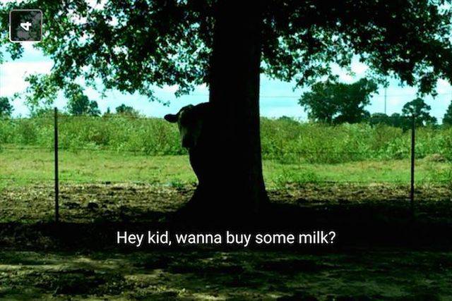 Daily Picdump Daily Picdump