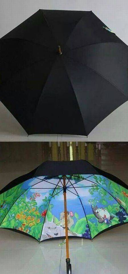 Daily Picdump Daily Picdump