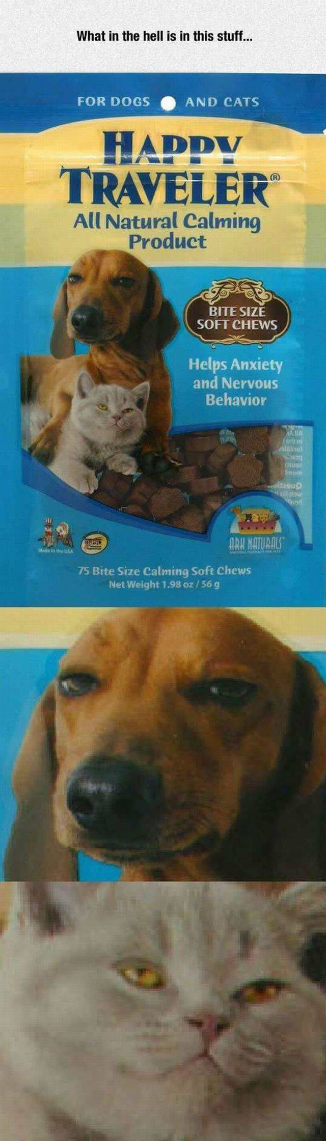Daily Picdump Daily Picdump