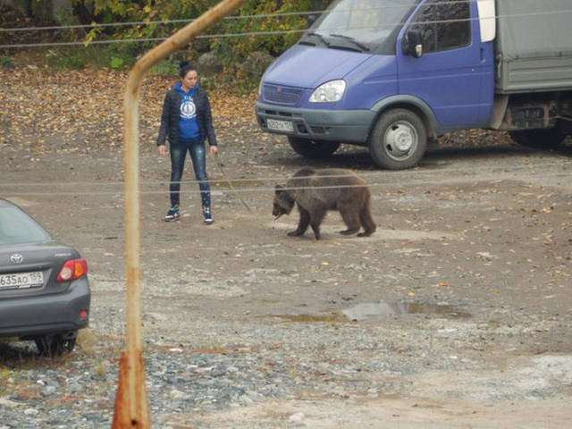 Pets Are a Little Bit Different in Russia
