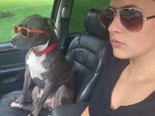 Daily Picdump Daily Picdump