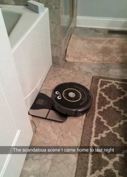 Daily Picdump Daily Picdump