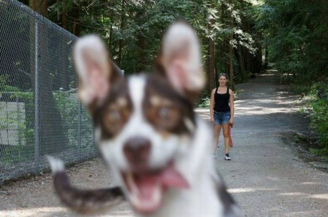 Daily Picdump Daily Picdump