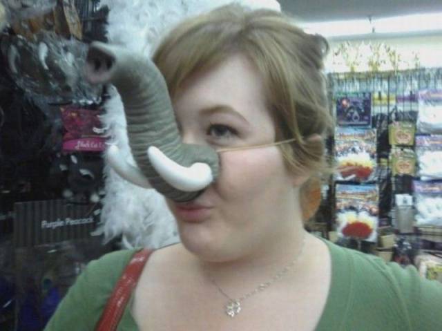 Daily Picdump Daily Picdump